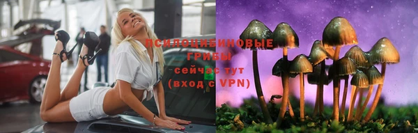 синтетический гашиш Зеленодольск