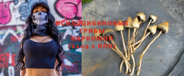 прущие крисы Зеленокумск